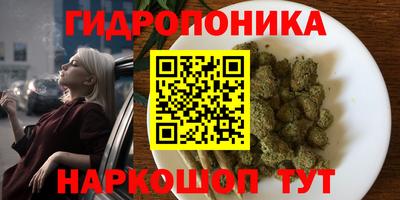 ПСИЛОЦИБИНОВЫЕ ГРИБЫ Гусиноозёрск