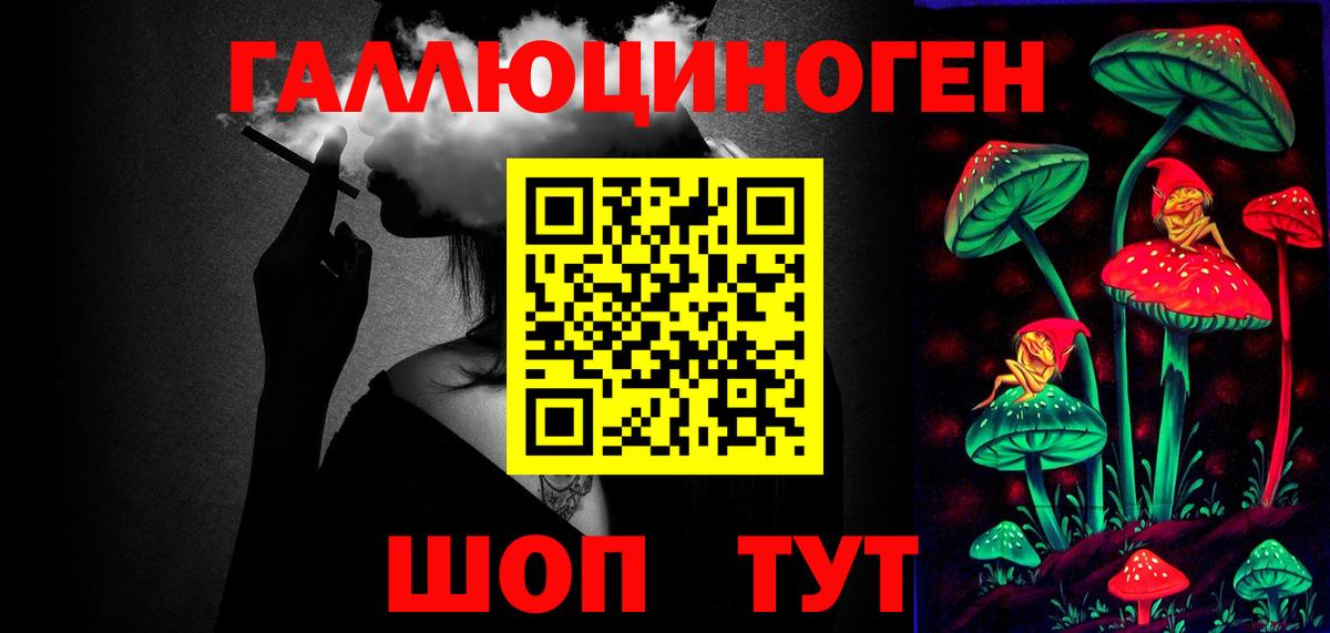 Дальнереченск  Галлюциногенные грибы Psilocybe  Вход с VPN 